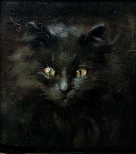 Retrato de un gato de Julius Adam
