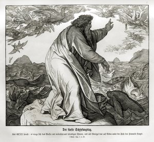 Quinto día de la creación, Génesis de Julius Schnorr von Carolsfeld