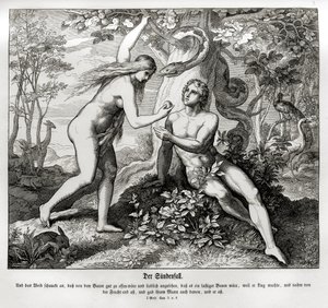La caída, Génesis de Julius Schnorr von Carolsfeld