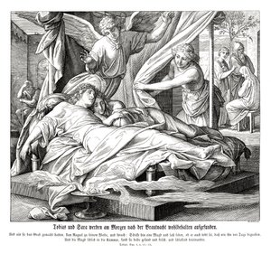 Tobías y Sara están a salvo, Libro de Tobit