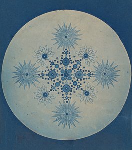 [Frústulas de diatomeas], ca. 1870