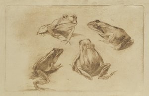 Ranas