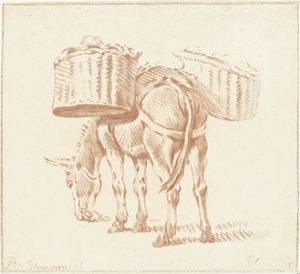 burro cargado
