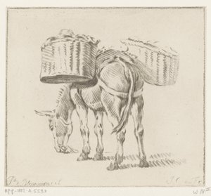 burro cargado