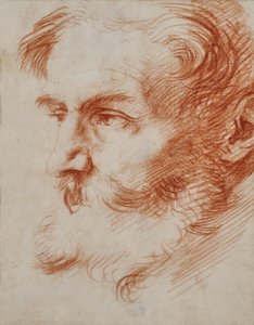 Cabeza de hombre barbudo de Jusepe de Ribera