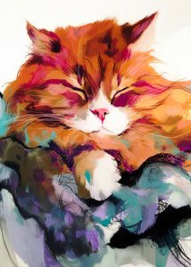 Una siesta de gato muy acogedora de Justyna Jaszke