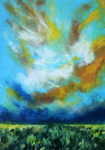 Cielo dramático sobre el campo