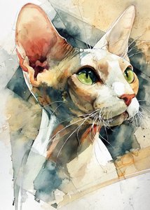 Gato Sphynx de ojos verdes de Justyna Jaszke
