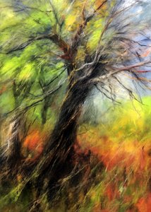 Árbol otoñal lleno de colorido de Justyna Jaszke