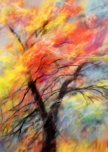 Árbol otoñal lleno de colorido de Justyna Jaszke