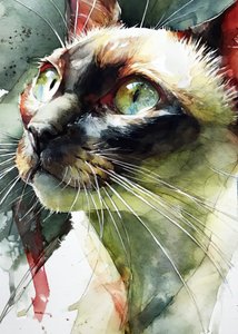 La mirada vibrante del gato siamés de Justyna Jaszke