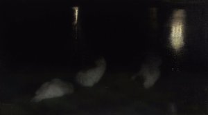 Nocturno. Cisnes en el Jardín Sajón en Varsovia por la noche
