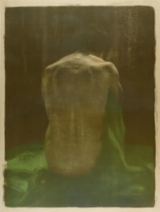 Desnudo femenino de espaldas sobre tela verde de Käthe Kollwitz