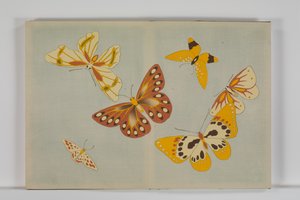 Chō senshu (Mil tipos de mariposas), Volumen 1 de Kamisaka Sekka