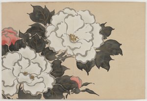 Flowers of a Hundred Worlds (Momoyogusa): Peonies (Fukamigusa) de Kamisaka Sekka