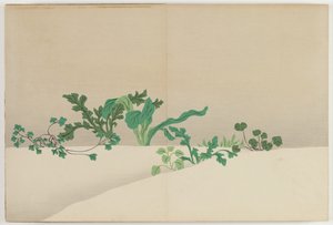 Flowers of a Hundred Worlds (Momoyogusa): Seven Herbs of Early Spring (Nanagusa) de Kamisaka Sekka