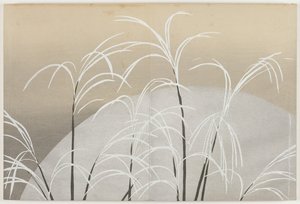 Flowers of a Hundred Worlds (Momoyogusa): Susuki Grass in Moonlight  (Obana ni tsuki) de Kamisaka Sekka