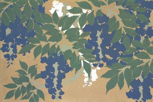 Fuji, de Momoyo-gusa