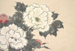 Fukami-Gusa, de Momoyo-gusa (El mundo de las cosas) Vol I, pub.1909
