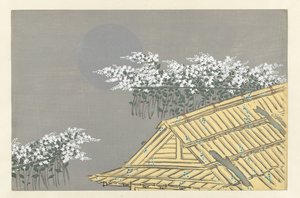 Flores blancas en casa Unohana Flores de cien mundos (título de la serie) Momoyogusa, vol. 1 (título de la serie) de Kamisaka Sekka