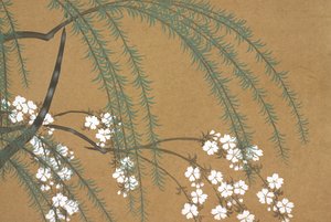 Yanagi Sakura, de Momoyo-gusa