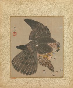 Álbum de halcones y caligrafía, siglo XVII-XVIII de Kanô Yôboku Tsunenobu