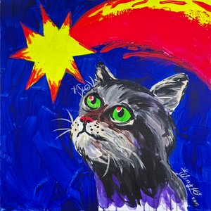 El gato y el cometa