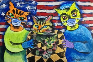 Gatos enmascarados patriotas