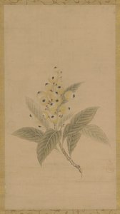 Una rama de nísperos, período Edo, siglo XVII