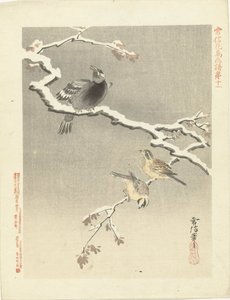 Tres pájaros en rama nevada Bocetos de flores y pájaros de Kano Tsunenobu (título de la serie) Kano Tsunenobu kacho gafu (título de la serie en el objeto) de Kano Tsunenobu
