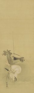 Garza y loto, período Edo, mediados del siglo XVII-principios del siglo XVIII de Kano Tsunenobu