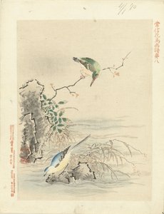 Martín pescador que mira el pájaro por el agua Bocetos de flores y pájaros de Kano Tsunenobu (título de la serie) Kano Tsunenobu kacho gafu (título de la serie en el objeto) de Kano Tsunenobu