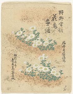 Índice Bocetos de flores y pájaros de Kano Tsunenobu (título de la serie) Kano Tsunenobu kacho gafu (título de la serie en el objeto) de Kano Tsunenobu
