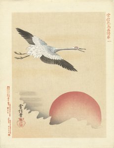 Grúa volando en luna roja Bocetos de flores y pájaros de Kano Tsunenobu (título de la serie) Kano Tsunenobu kacho gafu (título de la serie en el objeto)