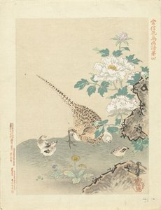 codorniz con pollitos Bocetos de flores y pájaros de Kano Tsunenobu (título de la serie) Kano Tsunenobu kacho gafu (título de la serie en el objeto) de Kano Tsunenobu