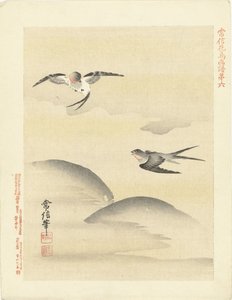 dos golondrinas Bocetos de flores y pájaros de Kano Tsunenobu (título de la serie) Kano Tsunenobu kacho gafu (título de la serie en el objeto) de Kano Tsunenobu