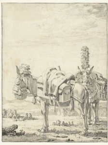 Dos mulas de Karel Du Jardin