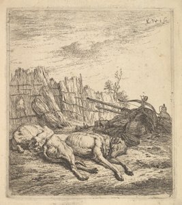 Dos perros durmiendo en el suelo, un arado, equipo de granja, manojos de paja, ca. 1641-78 de Karel Du Jardin