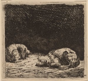 Perro y Gato de Karel Dujardin