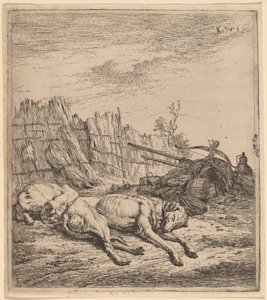Perros de caza de Karel Dujardin