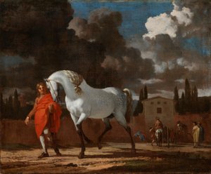La escuela de equitación de Karel Dujardin