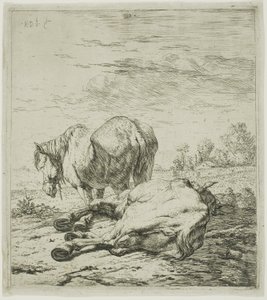 Dos caballos de Karel Dujardin