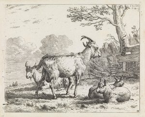  de Karel Dujardin