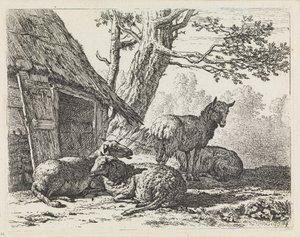  de Karel Dujardin