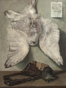 Búho Nival de Karel Purkyne