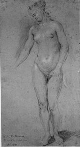 Mujer desnuda de pie de Karel van III Mander
