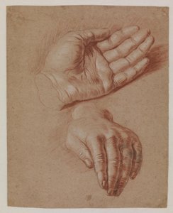 Estudios de dos manos de Karel van III Mander