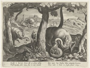 Elefante en lucha con serpiente
Escenas de caza (título de la serie)
Venationes Ferarum, auium, piscium pvgnae Bestiariorum (título de la serie) de Karel van Mallery (attributed to)