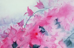 Bugambilia de Karen Armitage
