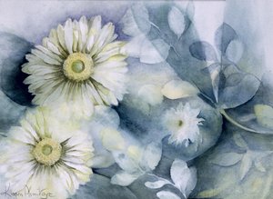Gerbera Jameson II de Karen Armitage